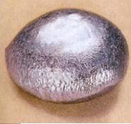 Rhenium