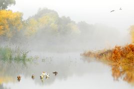 Ősz