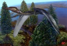 Phi tollas kígyó pterosaur