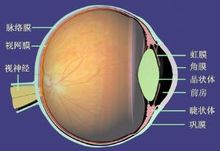 Eye fal