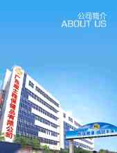 Egészségügyi Products Co., Ltd. Guangdong Wei Shiya