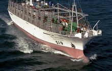Offshore halászat