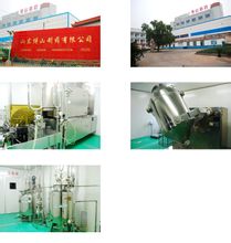 Pharmaceutical Co., Ltd. Shandong Boshan