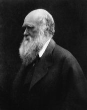 Darwinizmus