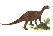 Lufengosaur