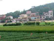 Waterwheel Village: négy falu fennhatósága alá tartozó Guangdong helyi adózás Bean Város
