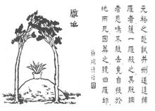Mo Yan Yuer · Qiu szó