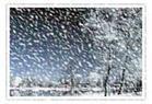 Snow libatoll