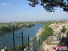 Avignon fogságban