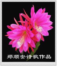 Haoyue