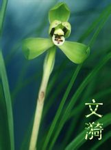 Wenyi