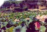 Shaoshan Mao régi otthon