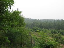 Xingxian